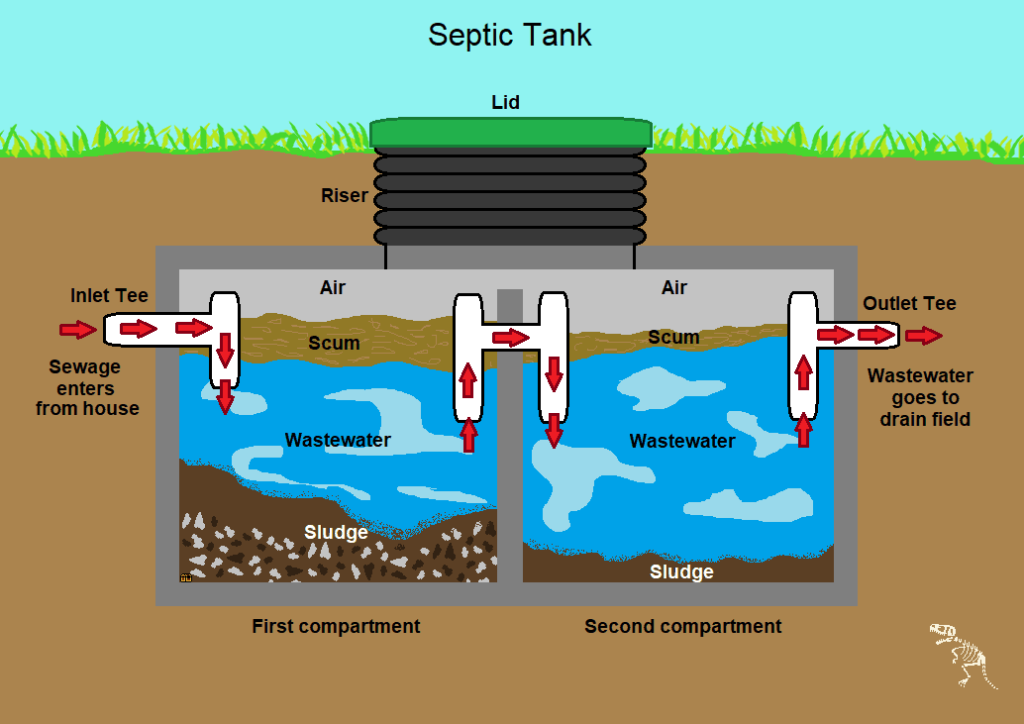 Busy B septic system service