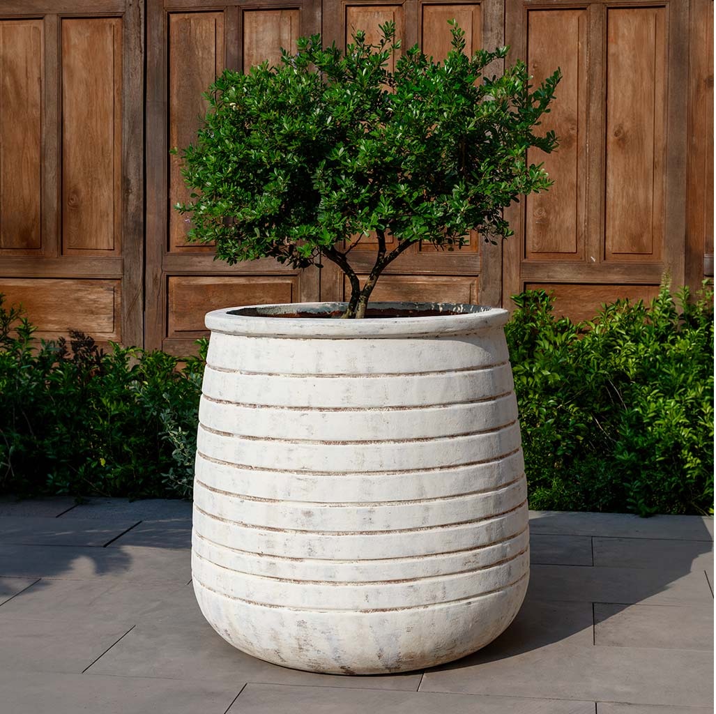 Pot And Planter Store
